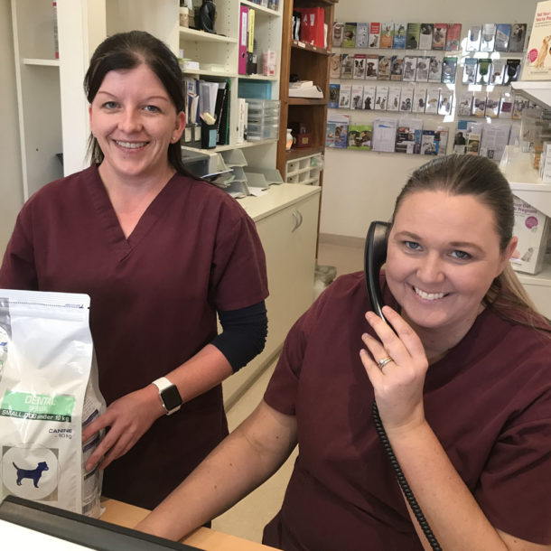 Contact Us Hoppers Crossing Veterinary Clinic & Hospital