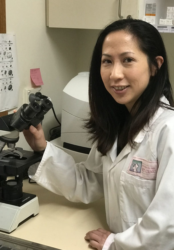 Heartworm Prevention Hoppers Crossing Veterinary Clinic & Hospital