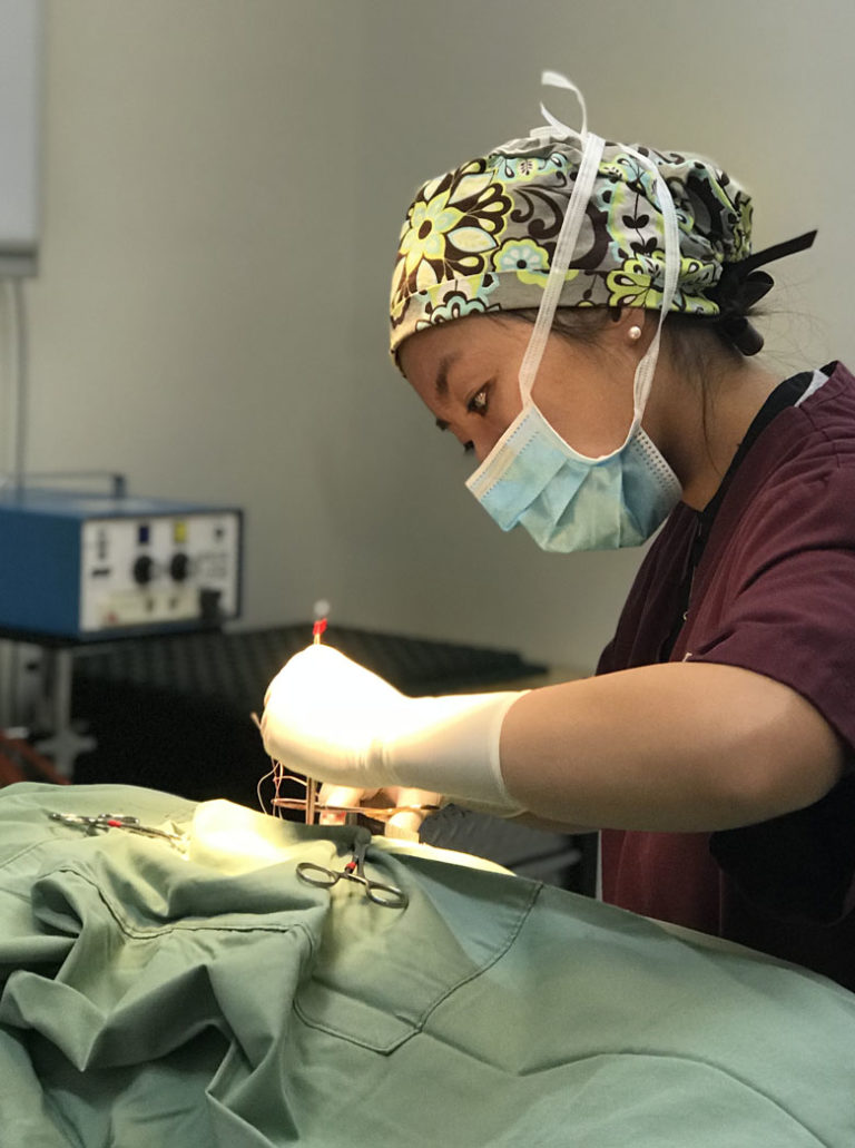 General Surgery Hoppers Crossing Veterinary Clinic & Hospital