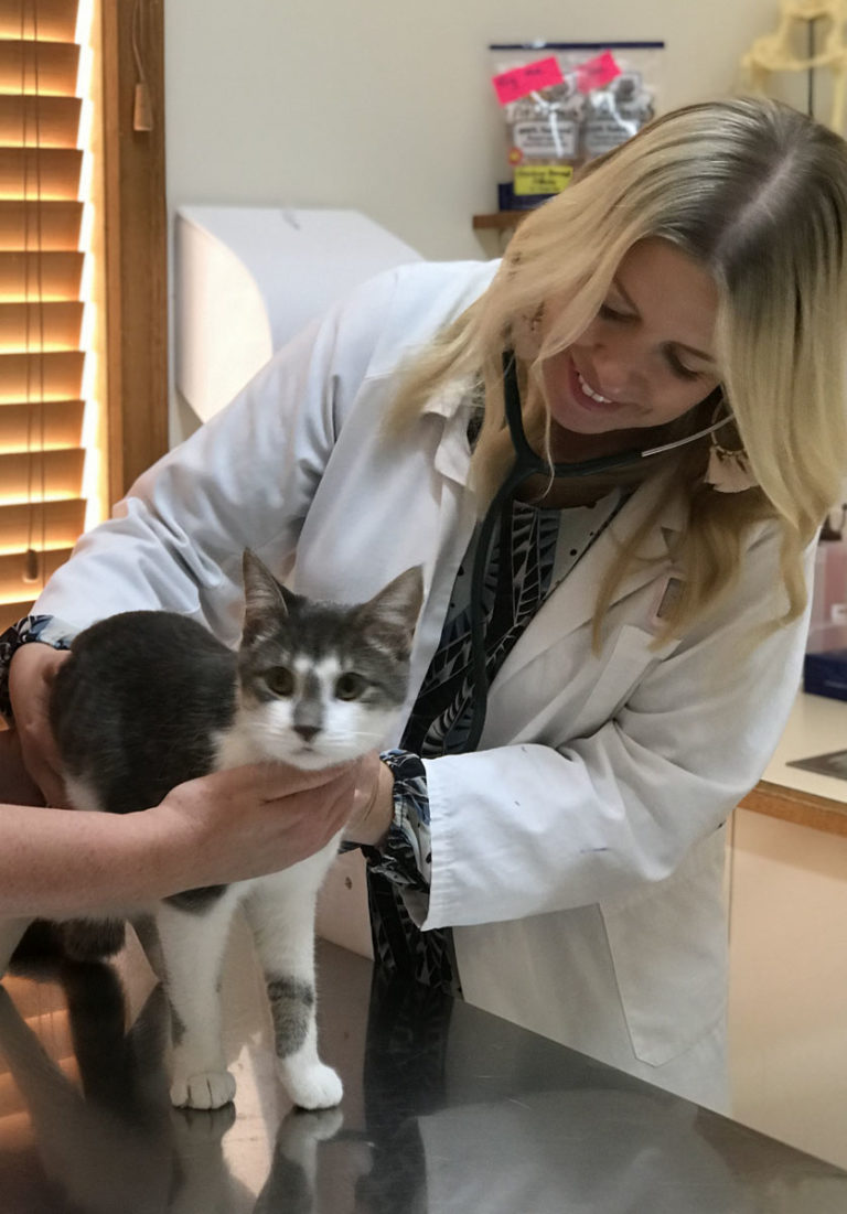 Affordable Veterinary Vaccinations at Hoppers Crossing Vet