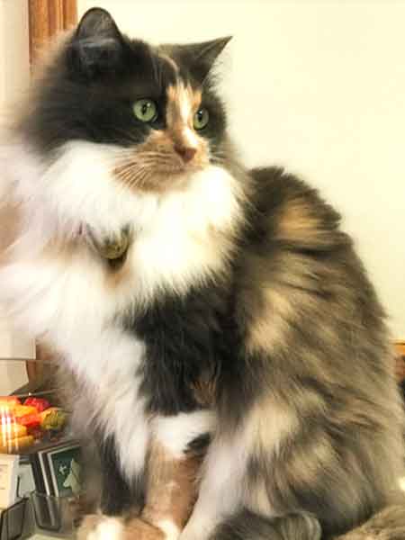 Meet our Team - April