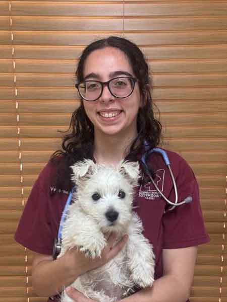 Meet Our Vets - Dr Jocelyn Fitzpatrick